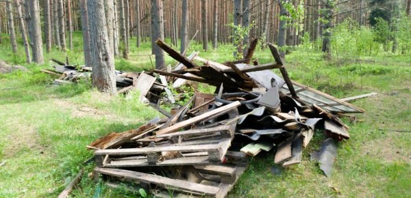 Debris Removal Service in Renton